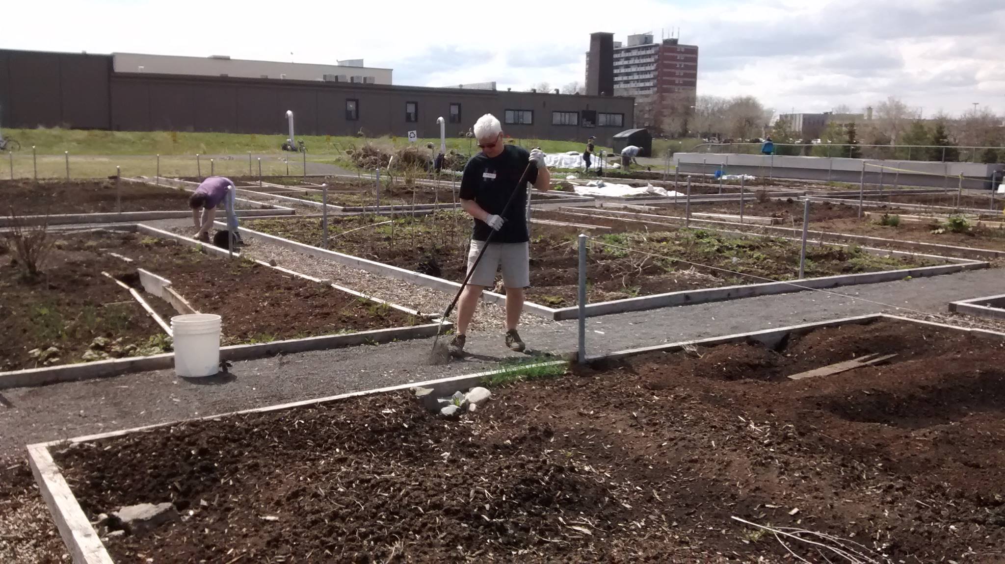 Le jardin en début de saison